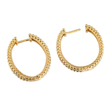 Load image into Gallery viewer, Elegant Gold Oval Beaded Trim Middle Zircon Creole Hoop Earrings
